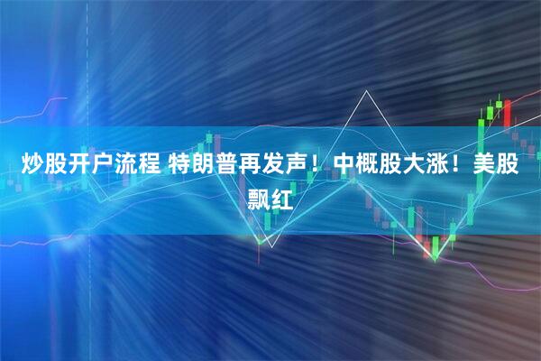 炒股开户流程 特朗普再发声！中概股大涨！美股飘红