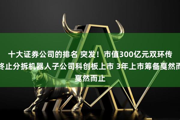 十大证券公司的排名 突发！市值300亿元双环传动终止分拆机器人子公司科创板上市 3年上市筹备戛然而止
